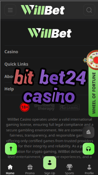 Bit Bet24 Casino - 24/7 Bitcoin Gambling-casinoorder.vip